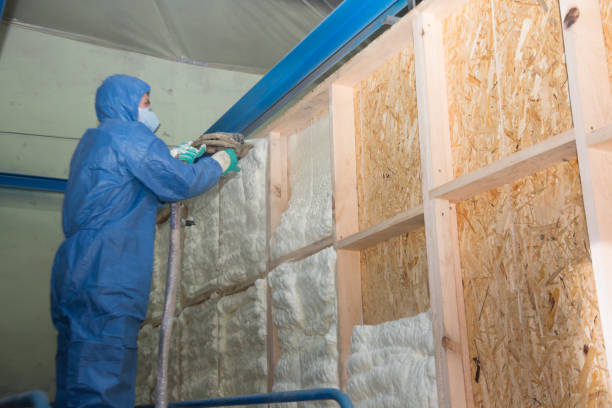 Best Cellulose Insulation  in USA